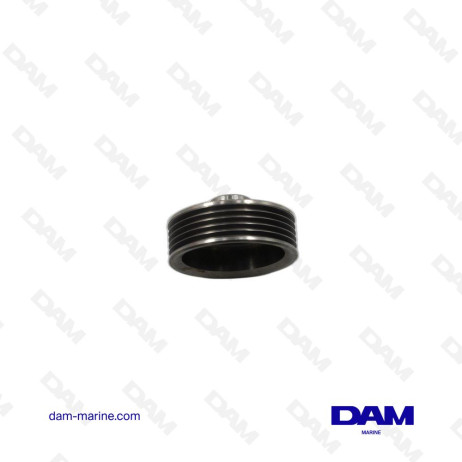 POULIE DE POMPE A EAU DE MER VOLVO 22 - 3580828