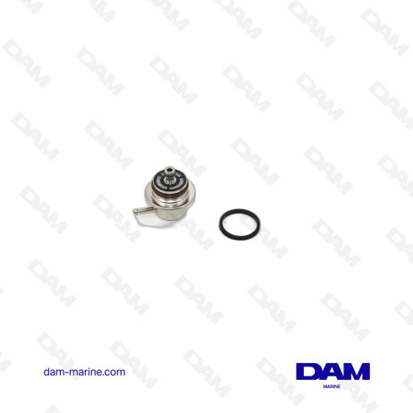 REGULATEUR DE PRESSION CARBURANT MERCURY OEM - 883257T1