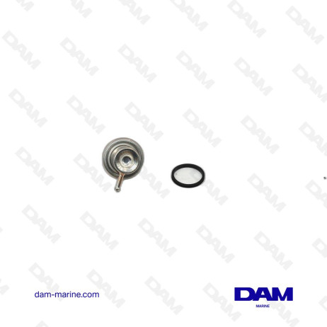 REGULATEUR DE PRESSION CARBURANT MERCURY OEM - 883257T1