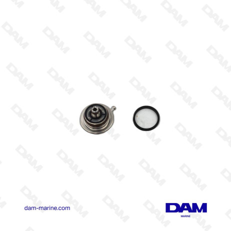 REGULATEUR DE PRESSION CARBURANT MERCURY OEM - 883257T1