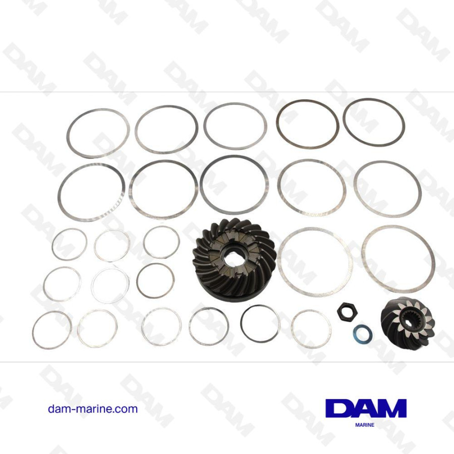 KIT PIGNONS MARCHE AVANT MERCURY 43-892595A04