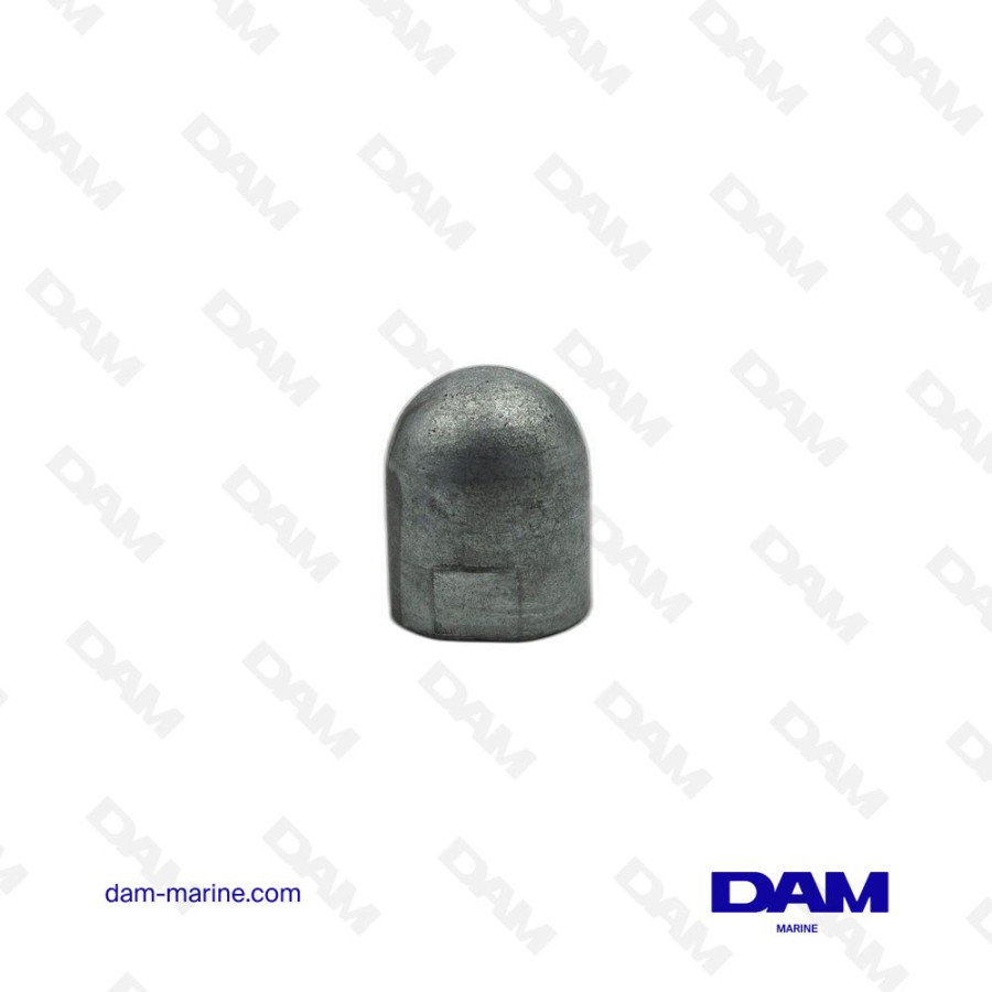 ANODE EMBOUT ARBRE Ø 40MM - 28X2.5MM - ZINC