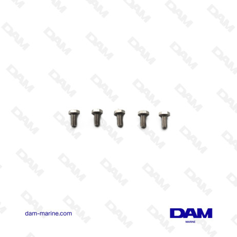 KIT VITI COPERCHIO POMPA ACQUA MARE VOLVO