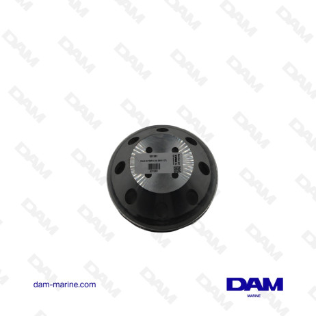 POULIE DE POMPE A EAU GM181 4 CYL