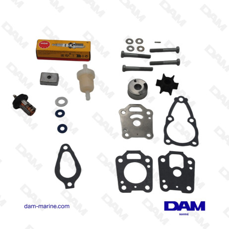 KIT DI MANUTENZIONE MERCURY-MARINER 4-6HP - 300 ORE