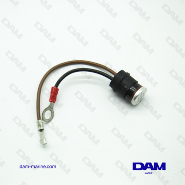 SONDE TEMPERATURE BRP*