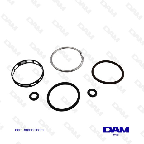 KIT JOINTS INJECTEUR POUR BRP OMC 5007017