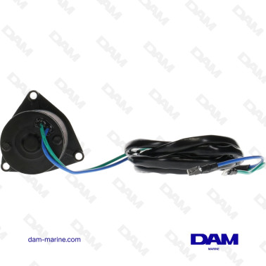 MOTEUR DE TRIM BRP