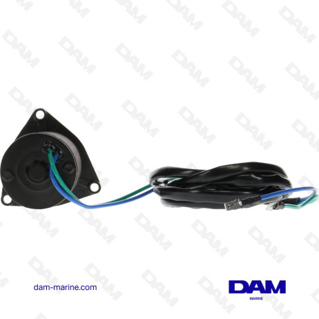 MOTEUR DE TRIM BRP