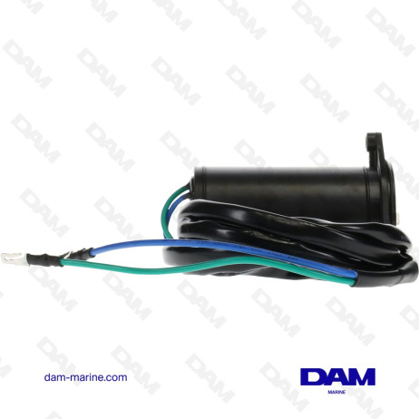 MOTEUR DE TRIM BRP