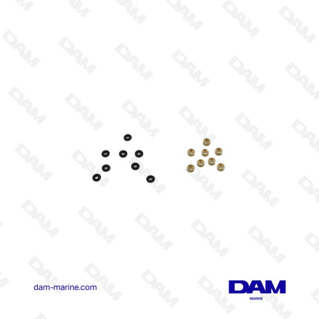 KIT JOINTS FLEXIBLES-VERINS VOLVO SX-A / DPSA