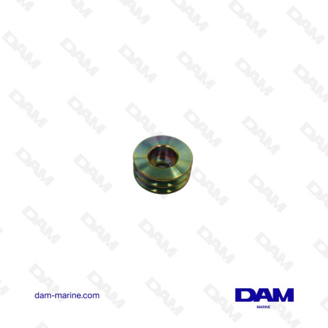 POULIE DOUBLE ALTERNATEUR POUR VOLVO - 841812