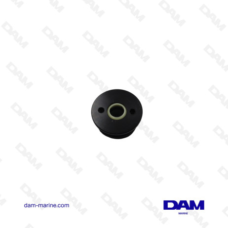 BOUCHON DE VERIN DE TRIM POUR MERCURY 822344T10