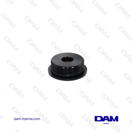 BOUCHON DE VERIN DE TRIM POUR YAMAHA