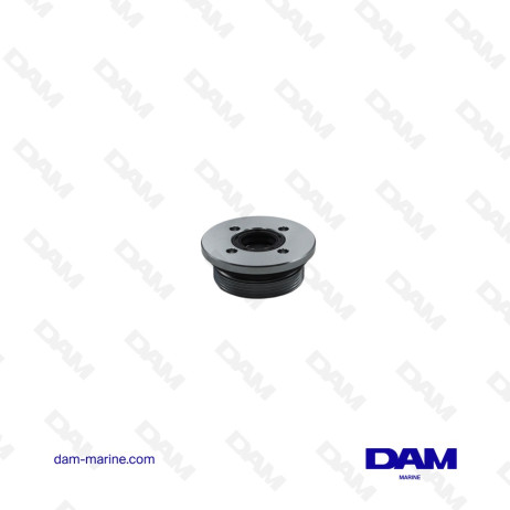 BOUCHON DE VERIN DE TRIM POUR YAMAHA - 6H1-43821-11-00
