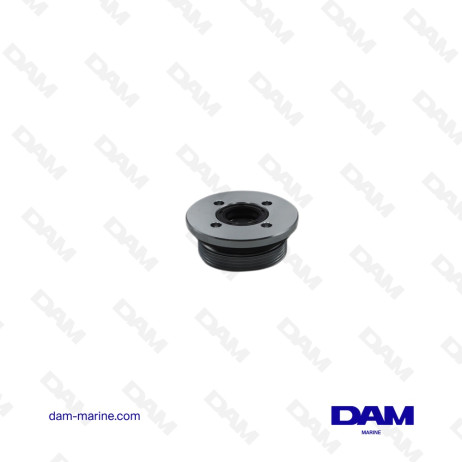 BOUCHON DE VERIN DE TRIM POUR YAMAHA - 6H1-43821-11-00