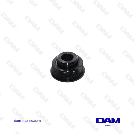 BOUCHON DE VERIN DE TRIM POUR YAMAHA - 61A-43811-00