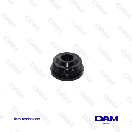 BOUCHON DE TRIM POUR VERIN CENTRAL YAMAHA 6AW-43810-01