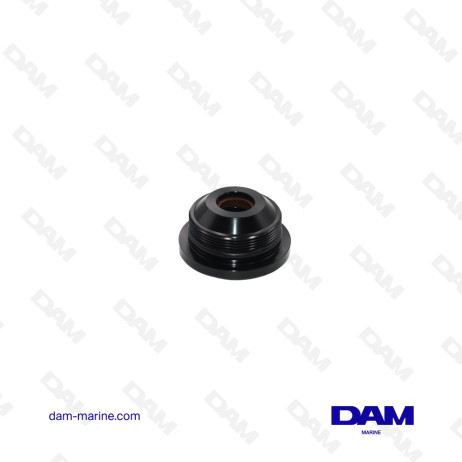 BOUCHON DE VERIN DE TRIM POUR YAMAHA HB V8