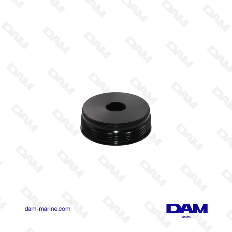 BOUCHON DE VERIN DE TRIM POUR MOTEUR JOHNSON - EVINRUDE