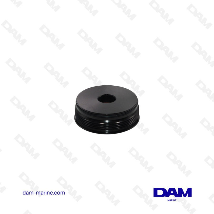 BOUCHON DE VERIN DE TRIM POUR MOTEUR JOHNSON - EVINRUDE