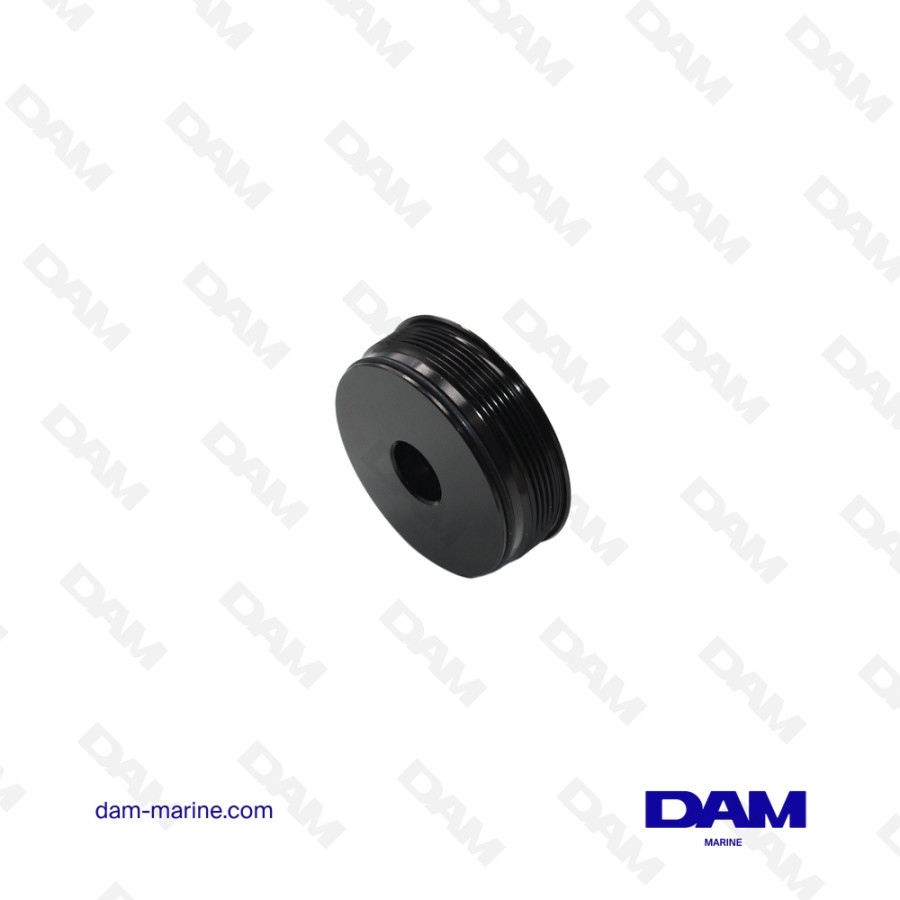 BOUCHON DE VERIN DE TRIM POUR MOTEUR JOHNSON - EVINRUDE