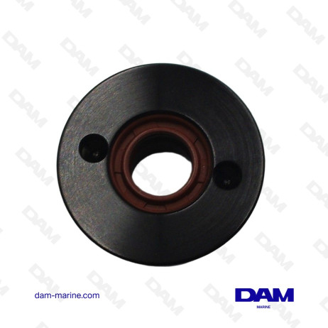 BOUCHON DE VERIN DE TRIM MERCURY