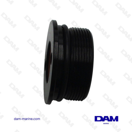 BOUCHON DE VERIN DE TRIM MERCURY