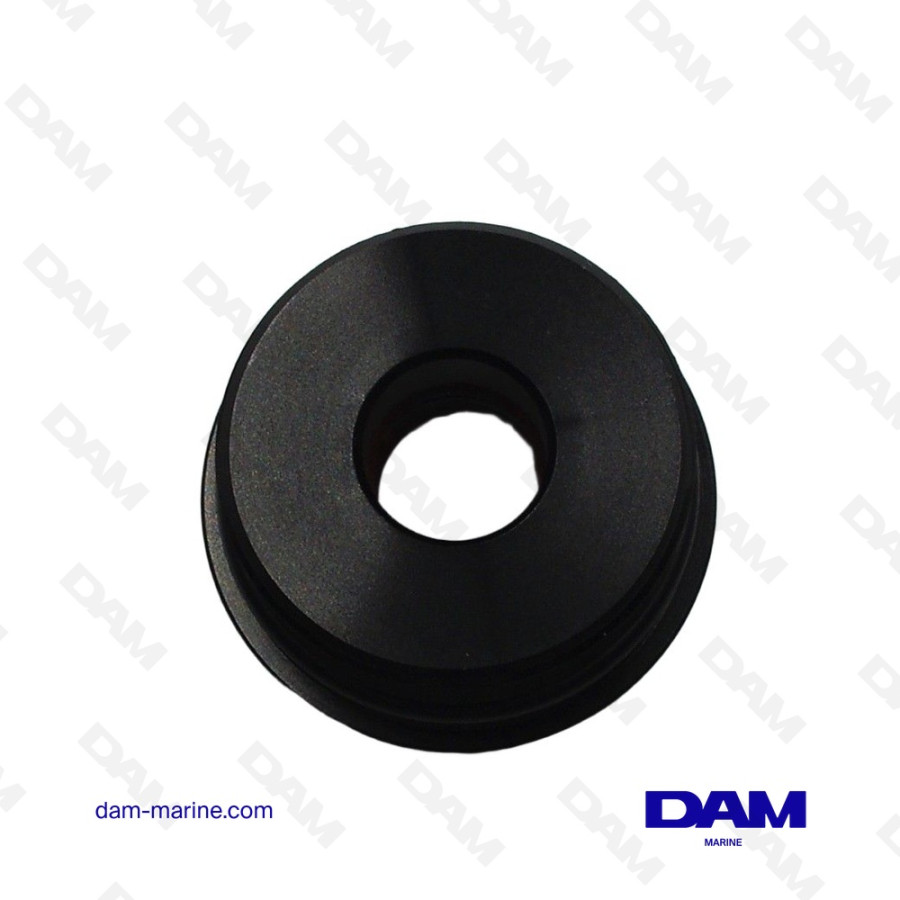 BOUCHON DE VERIN DE TRIM MERCURY
