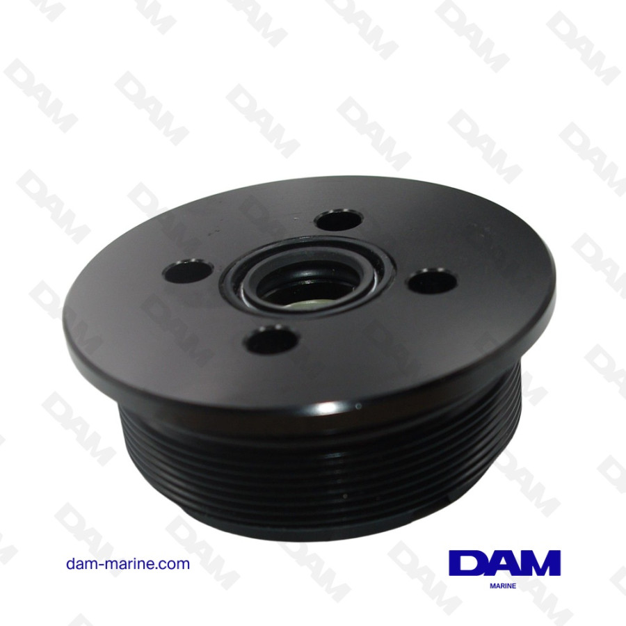 BOUCHON DE VERIN DE RELEVAGE BRP - 0435566