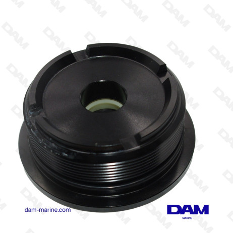 BOUCHON DE VERIN DE RELEVAGE BRP - 0435566