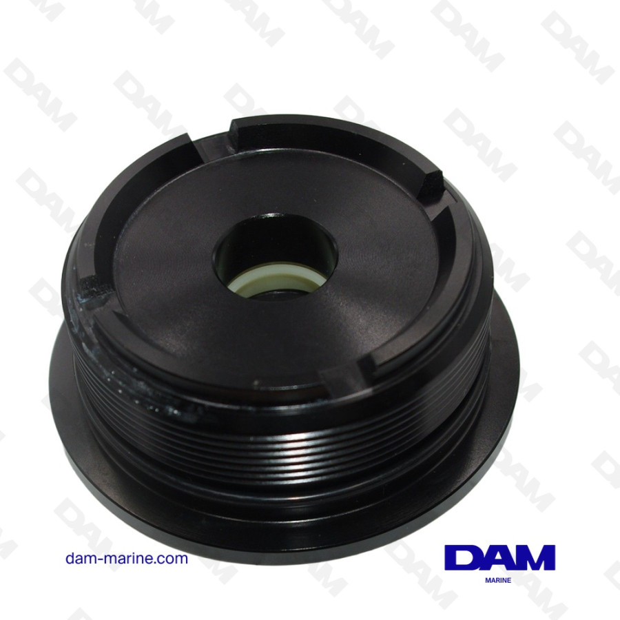 BOUCHON DE VERIN DE RELEVAGE BRP - 0435566