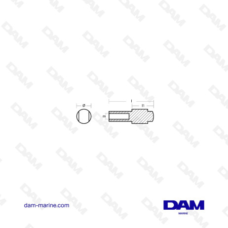 ANODE DE TETE MOTRICE YAMAHA 9.9 - 300HP - ZINC