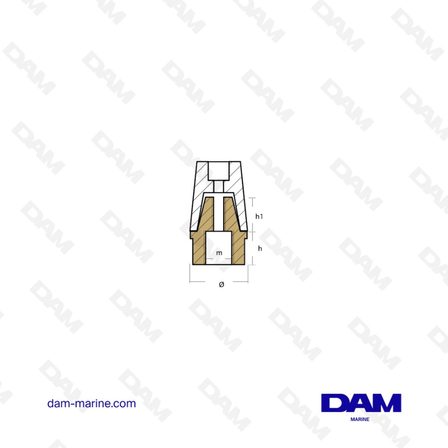 ECROU ET ANODE A CLAVETTE 45MM RAD005