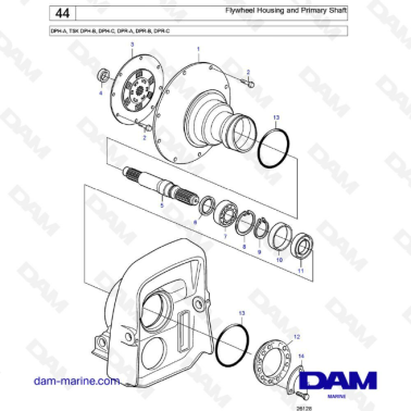 Flywheel housing and primary Shaft DPH
