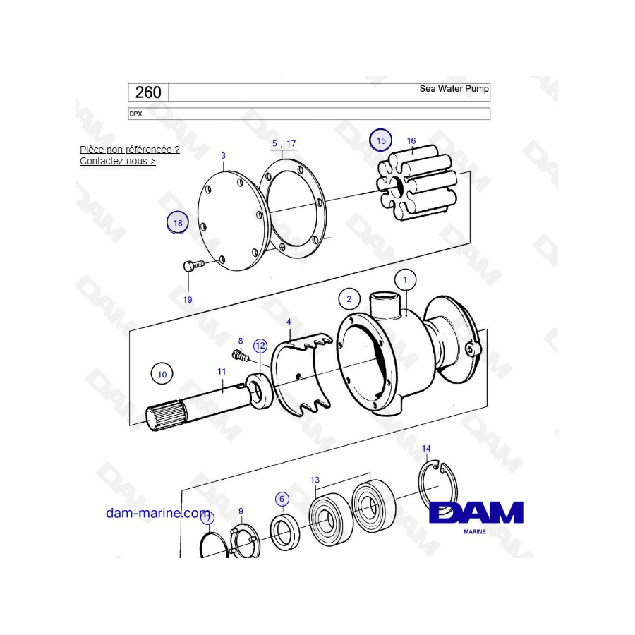DPX Sea water pump EXPLODED VIEW DAM Marine