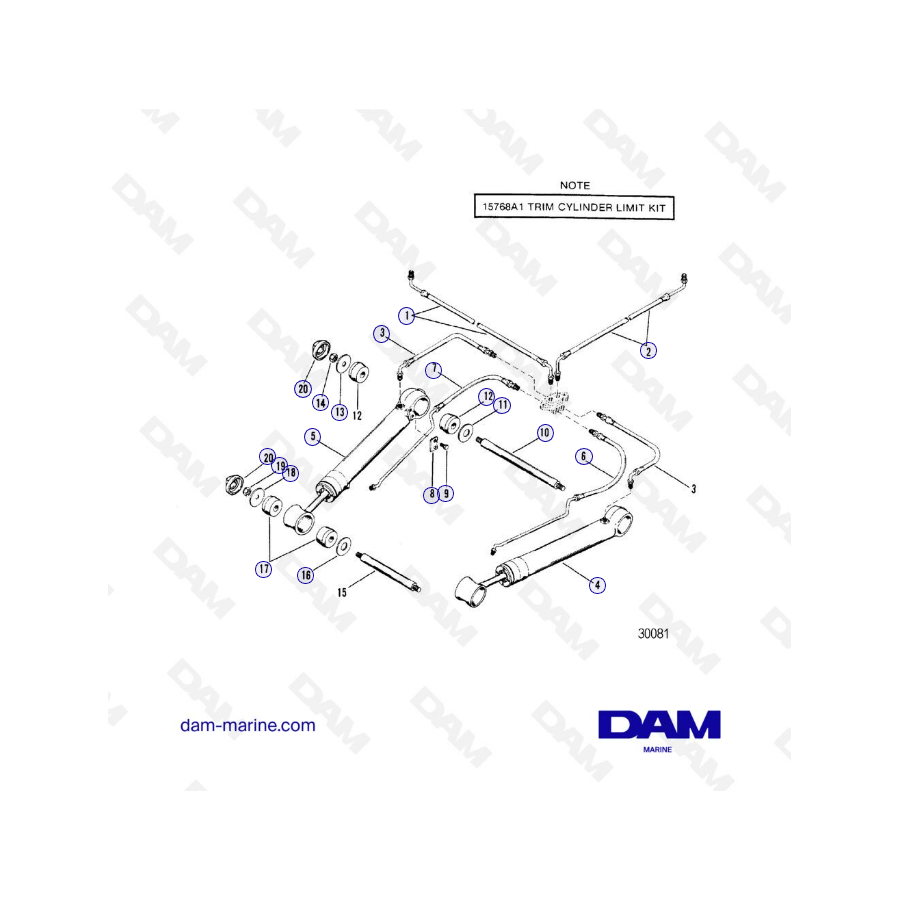 Exploded view of Alpha One G1 cylinders