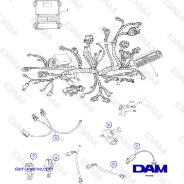 Wiring Harness, Sensors and ECM PCM H5/H6