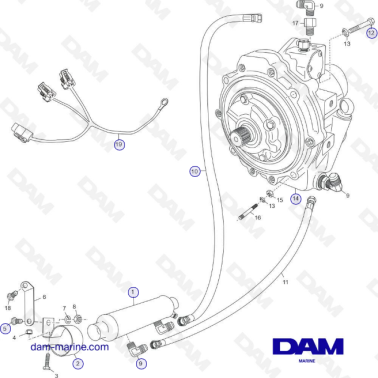 Transmission & Related components H5/H6 PCM