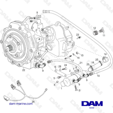 Transmission and related components H5/H6 PCM