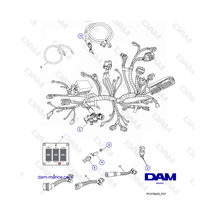 PCM Excalibur 5.7L 02 - Conjuntos de arneses de cableado y sensores