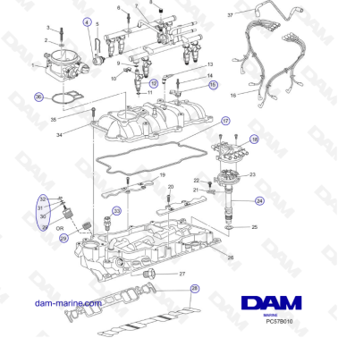 PCM Excalibur 5.7L 02-05 - Intake Manifold
