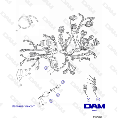 PCM Excalibur 5.7L 02-05 -...