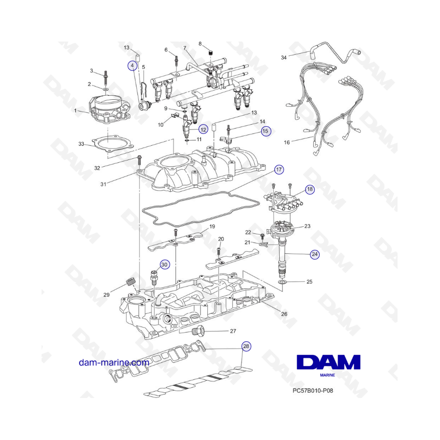 PCM Excalibur 343 - Intake Manifold assembly