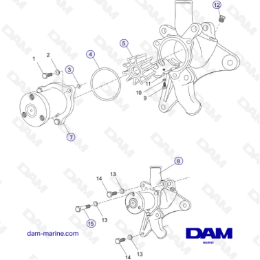 PCM Excalibur 343 - Raw water cooling pump