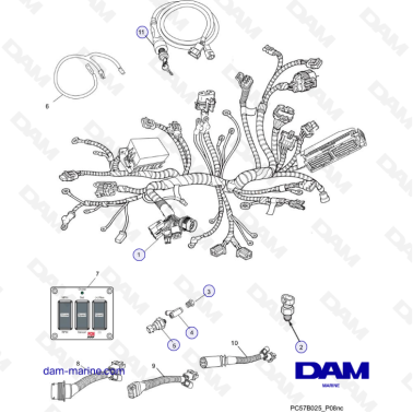PCM Excalibur 343 - Wiring harness assemblies