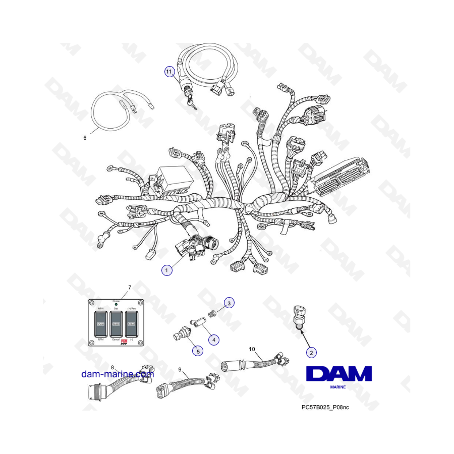 PCM Excalibur 343 - Conjuntos de arneses de cableado