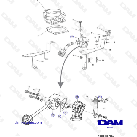 PCM Excalibur 343 2010-2012- Throttle Body and Related Components