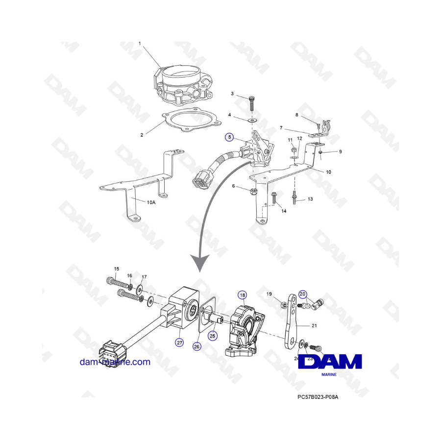 PCM Excalibur 343 2010-2012 - Cuerpo del acelerador y componentes relacionados