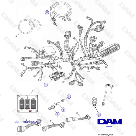PCM Excalibur 343 2010-2012 - Wiring harness assemblies and senders